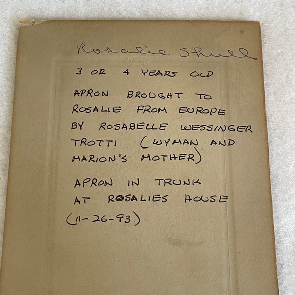 Antique Little Girl’s Apron With Photo of Original Owner Wearing It - Picture 6 of 16